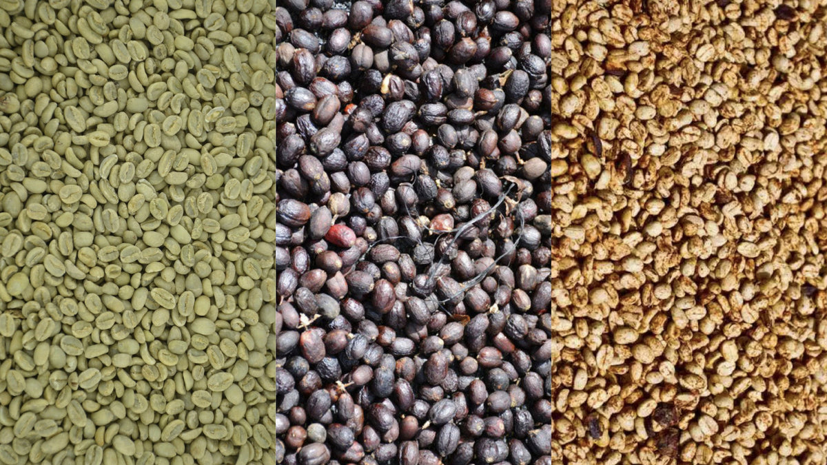 UNVEILING THE AROMAS: EXPLORING DIFFERENT COFFEE PROCESSING METHODS ...