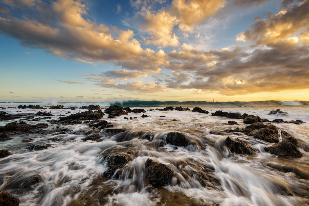 Hanalei Coffee Roasters International Blends Hanalei Coffee Roasters